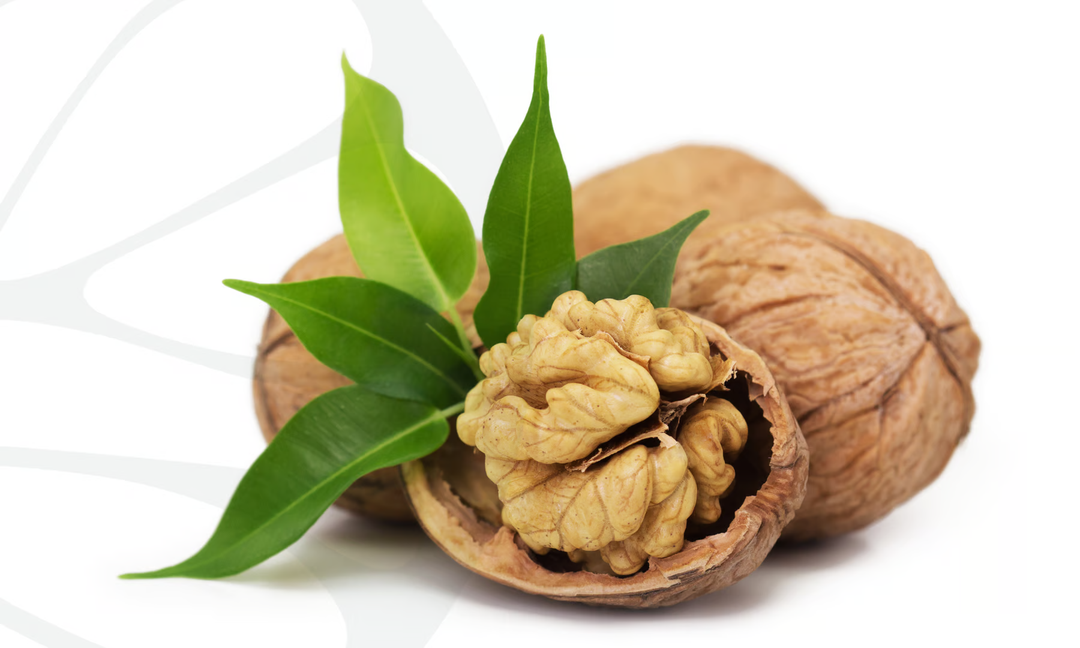 Kaip susijusi atmintis ir omega-3?